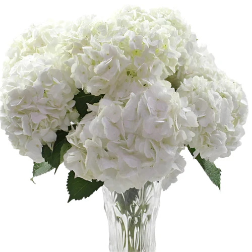 Funeral Flower Arrangements Toronto | Local Florists CA