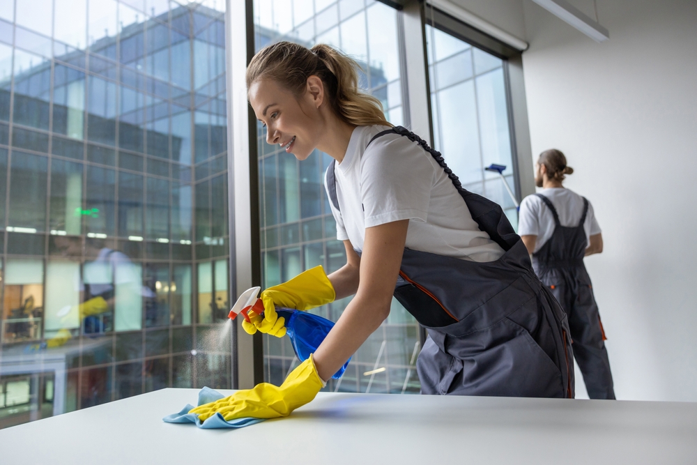 What to Expect From a Professional House Cleaning Service