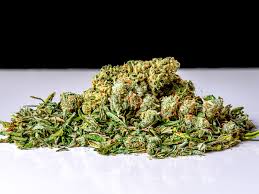 Shake Dispensary Deals: A Complete Guide to Saving Money on Quality Cannabis Shake