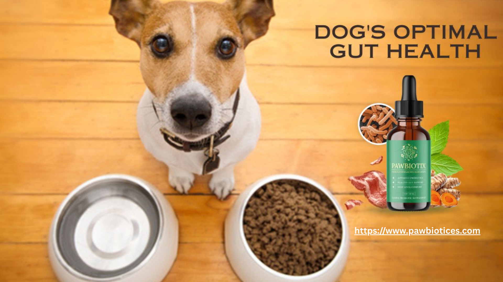 Pawbiotix Price & Reviews | Trusted Dog Probiotics Formula